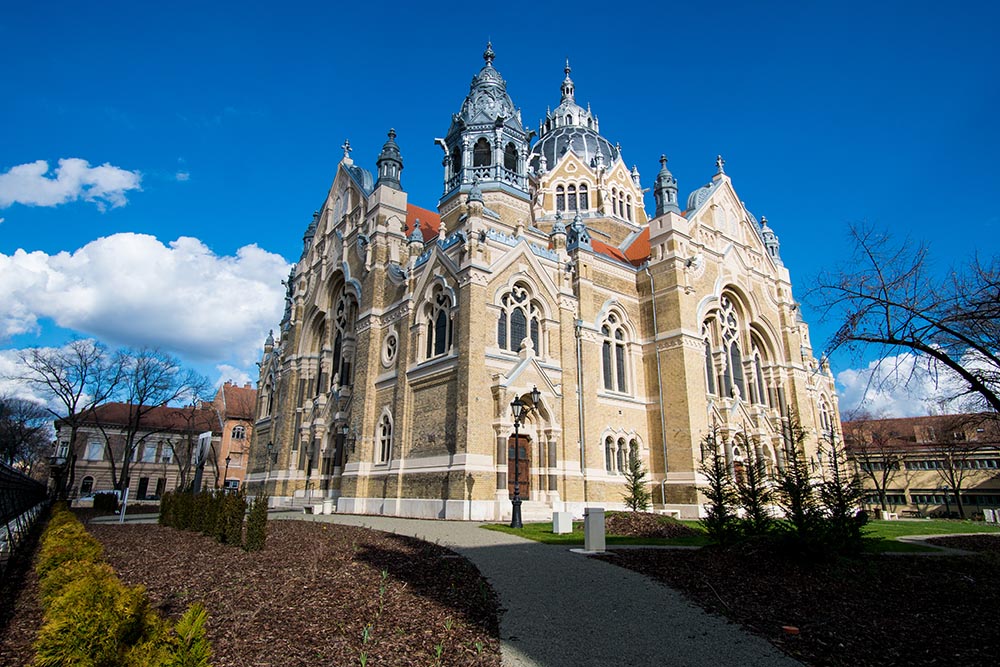 MBBS in Hungary